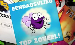 Eendagvliegtopzoveel