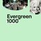 Radio Bene Evergreen1000 2024