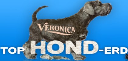 Radio Veronica Top Hond-erd